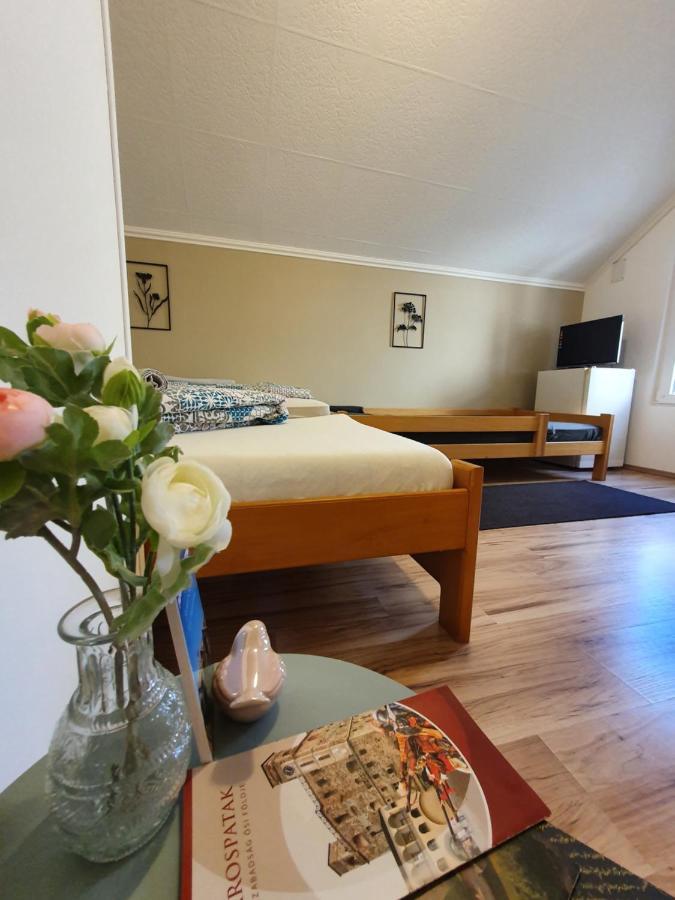 Kamilla Vendeghaz Holiday home Sarospatak